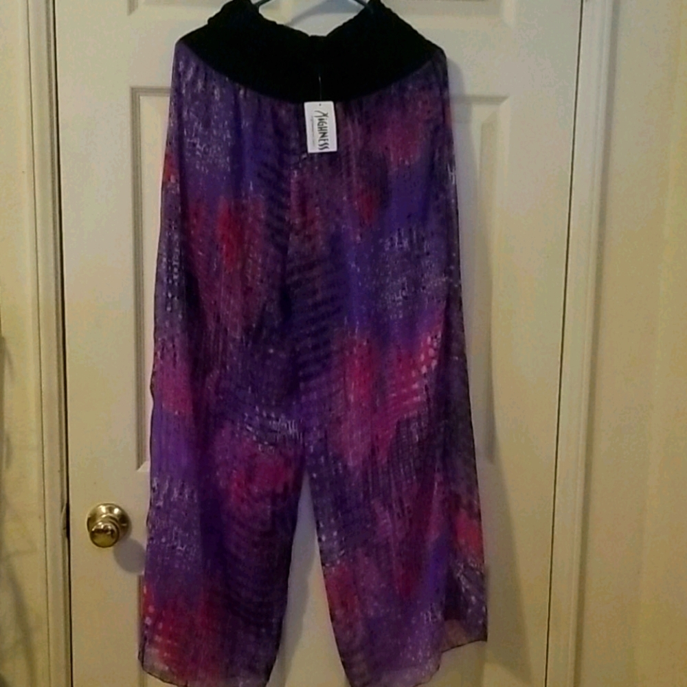 Vintage sheer pants